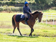 HC240925-7 - Rousham